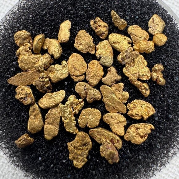 One Gold Nugget from California in Display Case - 0.05 grams - Picture 1 of 7
